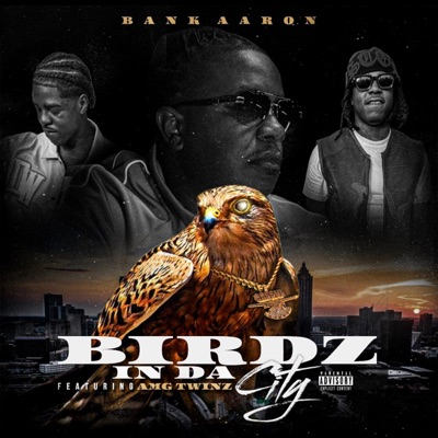 BIRDZ IN DA CITY (feat. AMG TWINZ) - Single