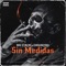 Sin Medidas (feat. Casual1503) - Big Stalks lyrics
