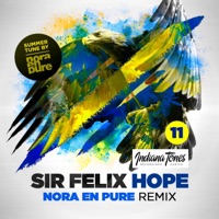 Hope (Nora En Pure Remix) - Single - Sir Felix