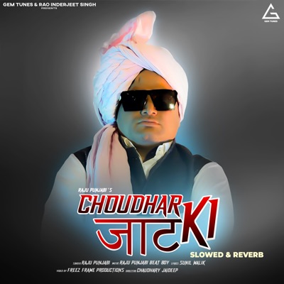 Choudhar Jaat Ki (Slowed & Reverb) - Single