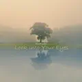 Look into Your Eyes