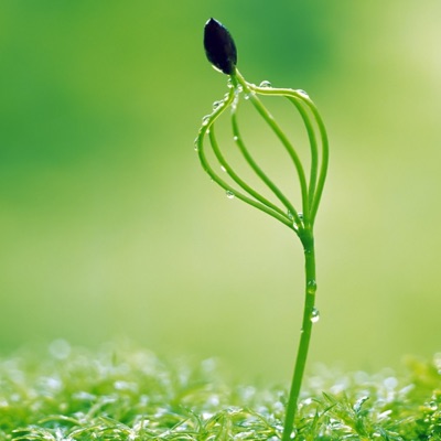 Sao em lỡ vội lấy chồng (feat. Trung Sáo)