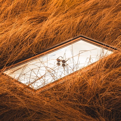 Disillusioned