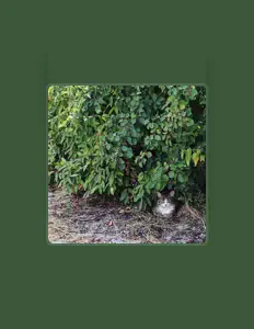 Listen to Олег HBL, watch music videos, read bio, see tour dates & more!