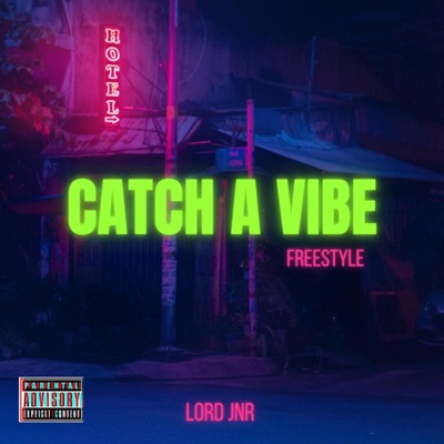 Catch a Vibe (Freestyle) - Single
