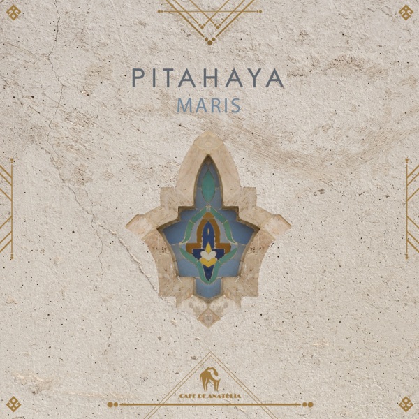 Pitahaya - Single