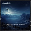 Gentle Night Breeze: Relaxing Nature Tunes