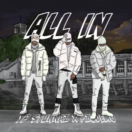 ALL IN (feat. YP Stunnaz) YTN, PCJ & Pzudemo