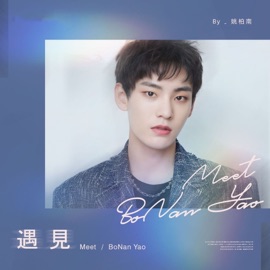 遇见 姚柏南