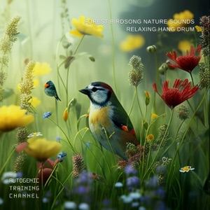 Forest Birdsong Nature Sounds - Relaxing Hang Drum
