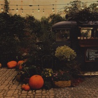 Pumpkin Spice - Single - Mister Decaf & Thymes