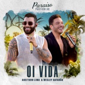 Oi Vida (Ao Vivo) artwork