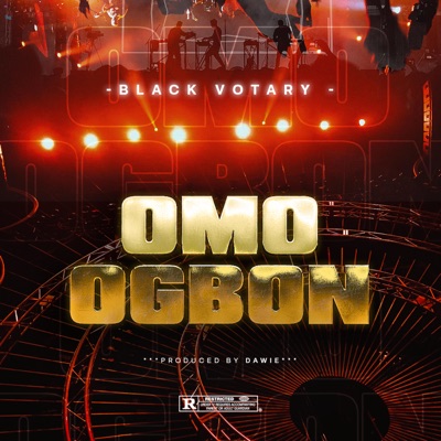 Omo Ogbon - Single