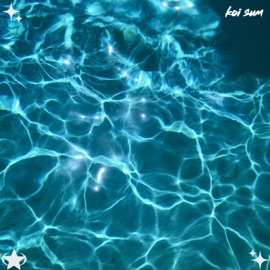 3Am koi.sum