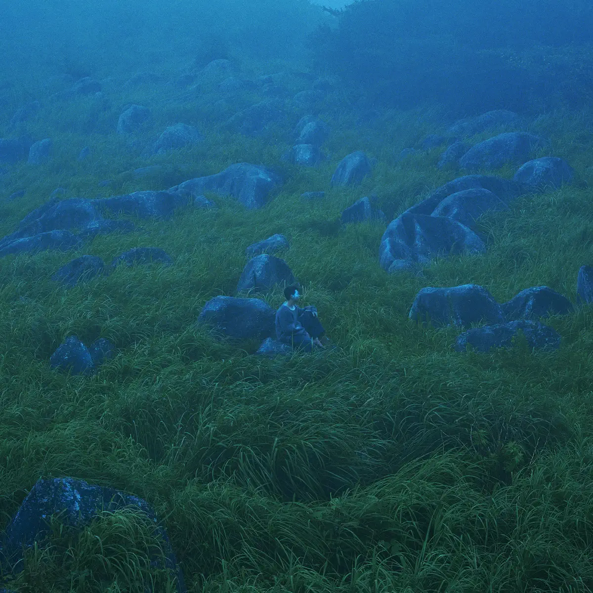 She Her Her Hers - Diffusion of Responsibility (2023) [iTunes Plus AAC M4A]-新房子