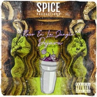 Dejavu - Single - Raso en la Jungla