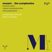 Symphony No. 29 in A Major, K. 201: II. Andante artwork