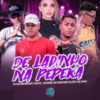 De Ladinho na Pepeka (feat. SPACE FUNK, Eduzinho & Victor DMenor) - Single - Viny Santos, Mc Briny & MC Renatinho Falcão