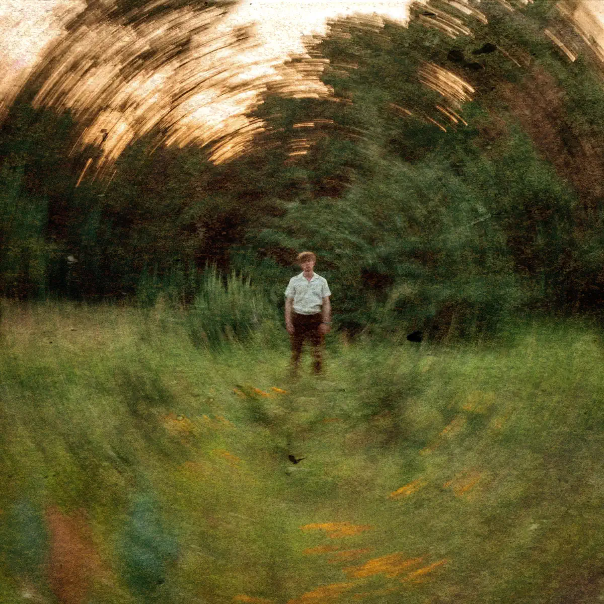 Cameron Nelson - Lost Boy (2024) [iTunes Plus AAC M4A]-新房子