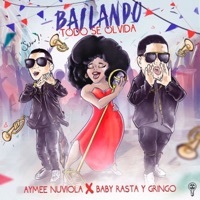 Bailando Todo Se Olvida (feat. Baby Rasta y Gringo) - Single - Aymée Nuviola