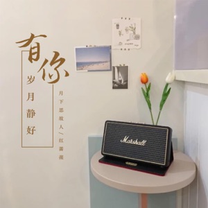 有你岁月静好 - EP
