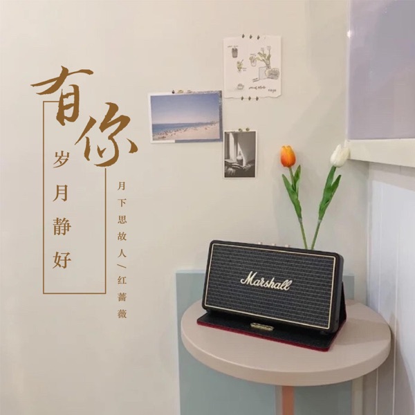 有你岁月静好 - EP