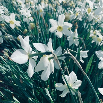 Tomorrow... - Single