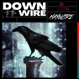 Down to the Wire Haywire