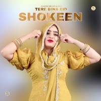 Tere Bina Eid Shokeen (feat. Star Irfan Pahat) - EP - Shokeen Singer Mewati