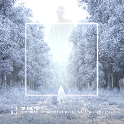 In the End (feat. Lena Luisa) - Single