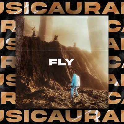 Fly - Single