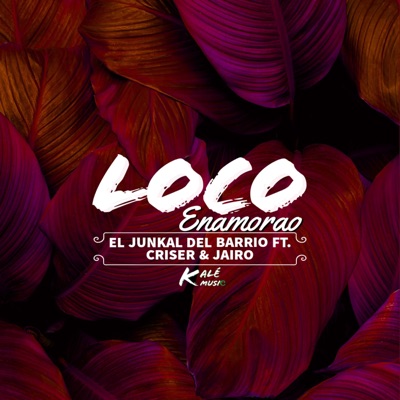 Loco Enamorao (feat. Criser & Jairo) - Single