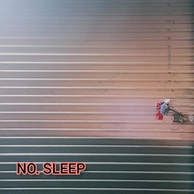No Sleep - Single