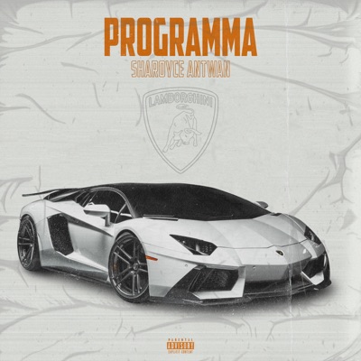 Programma - Single