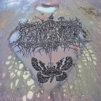 PANTANO - Single - Sa!koro