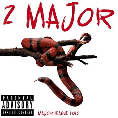 2 Major