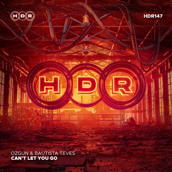 Can't Let You Go - Single