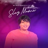 Slay Mama-Ni Muvhengela Ni? (feat. Dj Search & Dj Laguga) - Single