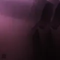 Silhouettes