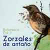 Roberto Ledezma - Con Mi Corazón Te Espero