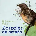 Con mi corazon te espero