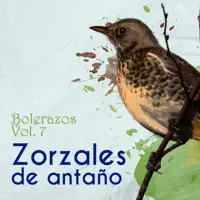 Con Mi Corazón Te Espero — Roberto Ledezma