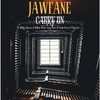 Carry On (feat. Bry Lew, Hollow Wake & Panda Forces) - Single - Jawfane