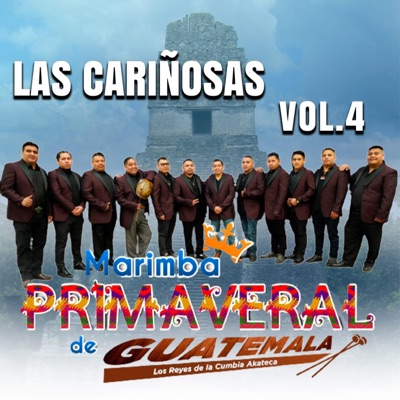 Marimba Primaveral de Guatemala - Zapatos de Tacon