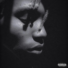 My Version of a Sextape VierK