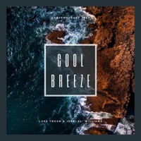 Cool Breeze (feat. Jerri El' Williams) - Single - Luke Truan