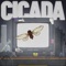 CICADA - Fear the White Noise lyrics