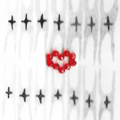 corazón de cristal <3 (feat. R.L.G) - Single