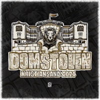 Leve som jeg vil (Domstolen 2024) - Single - Soppmann Pat