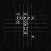 Хто такий SKOFKA? artwork